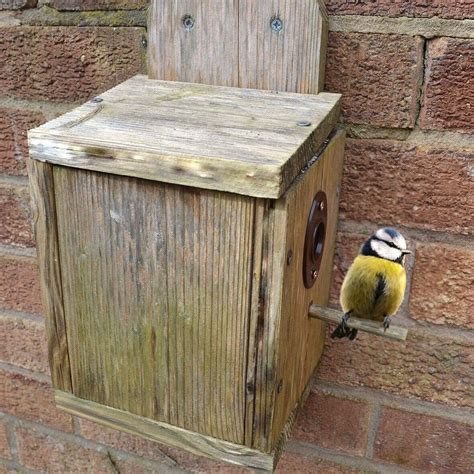 nest box plate 25mm